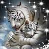 howelllisa428